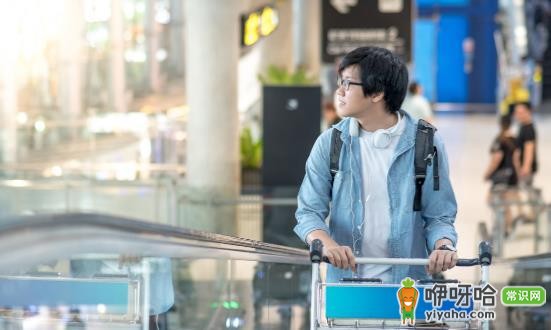 美国签证办理成功要诀及入境不可携带的饮食类物品清单