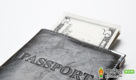 美国签证办理成功要诀及入境不可携带的饮食类物品清单