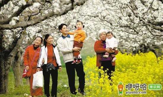 春季带娃出游好处多!掌握这几点旅游小常识,为出行保驾护航