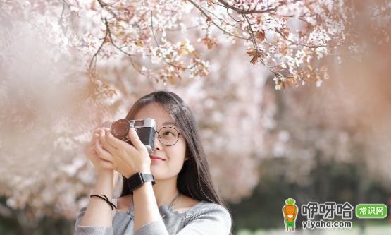 赏花后防过敏护理攻略,踏青赏花好时节掌握这些方法很重要