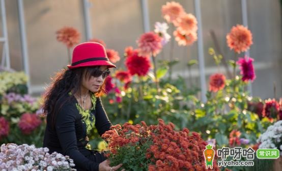 赏花后防过敏护理攻略,踏青赏花好时节掌握这些方法很重要