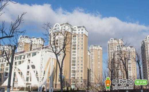 买高层楼房注意事项揭秘!高层为啥有壁虎,一文说清