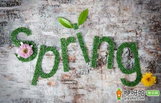 春天必领!一份春天的惊喜等你领取,拥抱春日美好