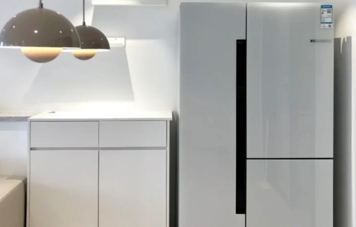 网购冰箱vs实体店冰箱:3大核心区别对比 哪个更值得买?