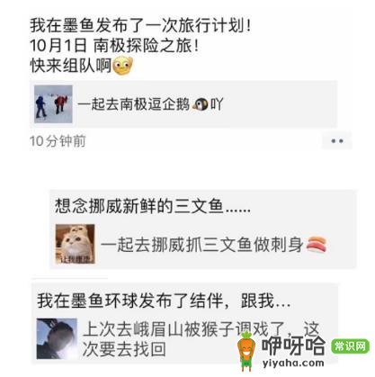 墨鱼环球:单身必看!结伴旅行解锁“单身经济”宝藏大门