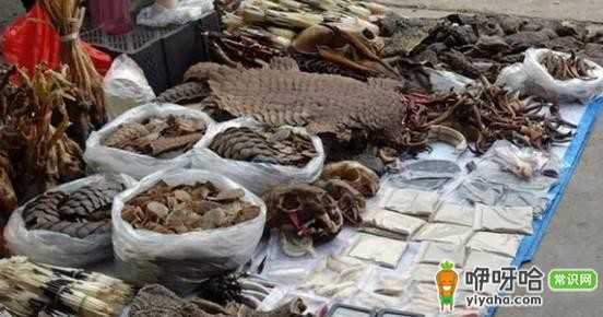 出国旅游小众之选!神圣小勐拉,带你感受独特异域风情