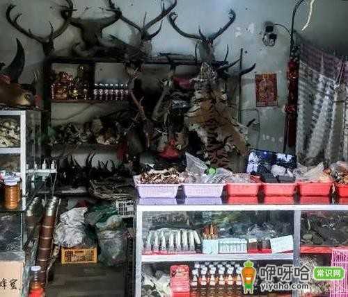 出国旅游小众之选!神圣小勐拉,带你感受独特异域风情