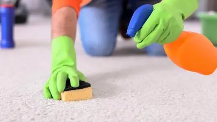 清洗地毯:摆刷和滚刷哪个好?3点对比告诉你答案