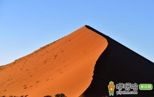 旅游必知!预防外出腹泻的 5 个旅游疾病知识要点