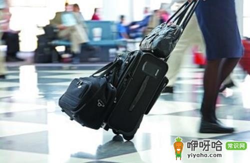 出发必备!5 款保障行李安全的实用小物,准备启程的你别错过