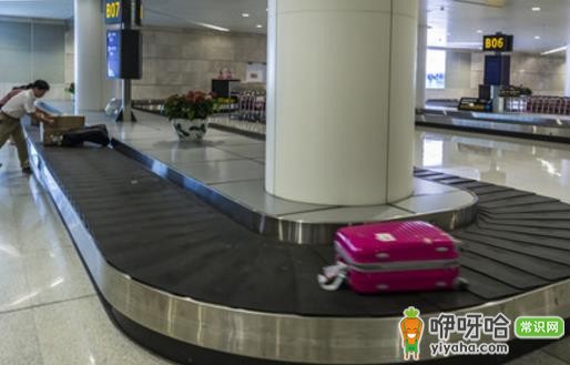 出发必备!5 款保障行李安全的实用小物,准备启程的你别错过