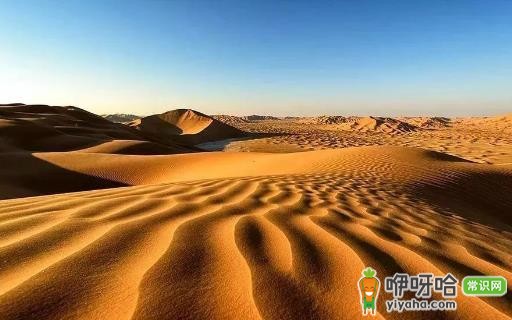 出发必备!5 款保障行李安全的实用小物,准备启程的你别错过