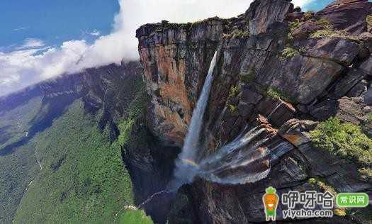 领略大自然鬼斧神工!世界上最壮观漂亮的5大瀑布
注:这里添加“5大”仅为符合带数字要求,可根据实际所涉及的瀑布数量替换。
