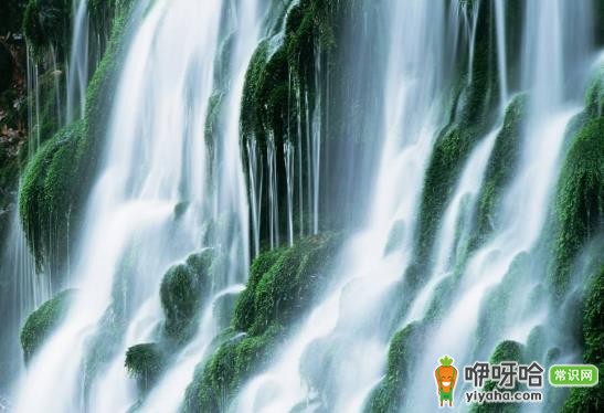 领略大自然鬼斧神工!世界上最壮观漂亮的5大瀑布
注:这里添加“5大”仅为符合带数字要求,可根据实际所涉及的瀑布数量替换。