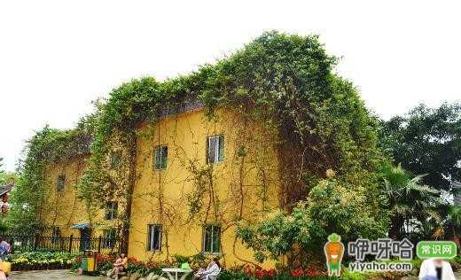 邢台公租房申请条件及管理办法全解析