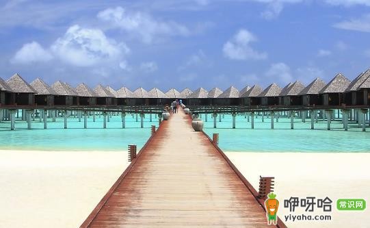 长途旅游必准备的 5 种食物,你备齐了吗?