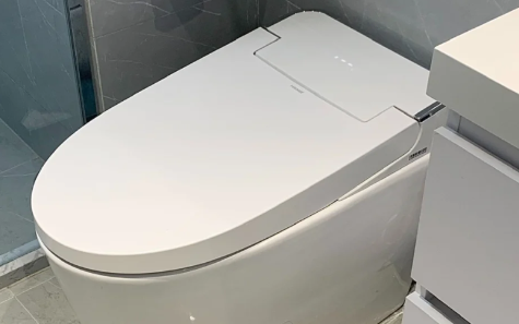 马桶堵了倒洁厕灵可以吗?3个注意事项要知道