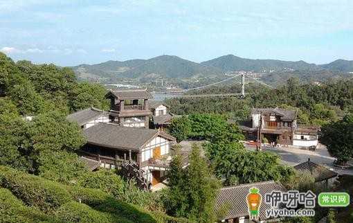 巢湖公租房买卖政策及管理办法全解析