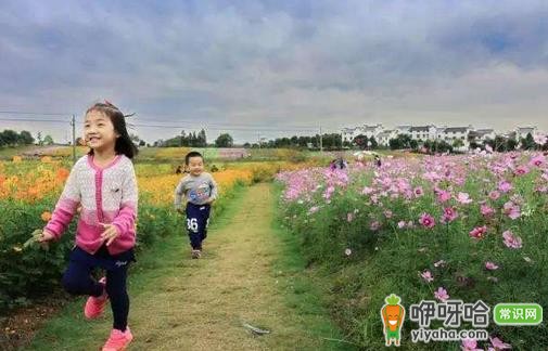 盘点5月最热门的旅游景点,错过再等一年!