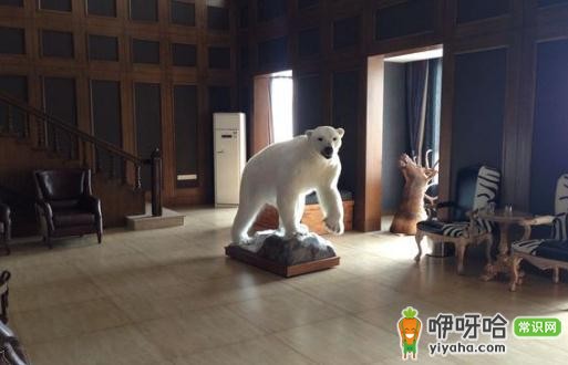 辽源公租房管理办法及买卖政策全解析