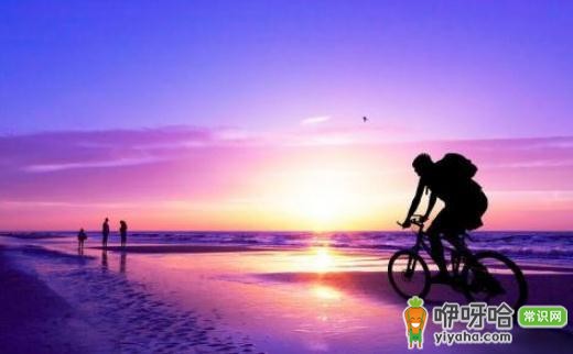 专业旅游人士分享旅游经验,让你的旅途少走弯路!