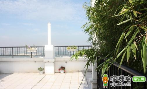 大连公租房买卖政策及管理办法全解读,掌握租房关键要点