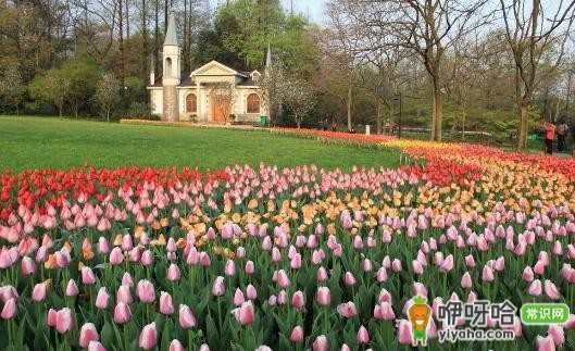 杭州西湖旅游全攻略:晴雨皆赏西湖之美