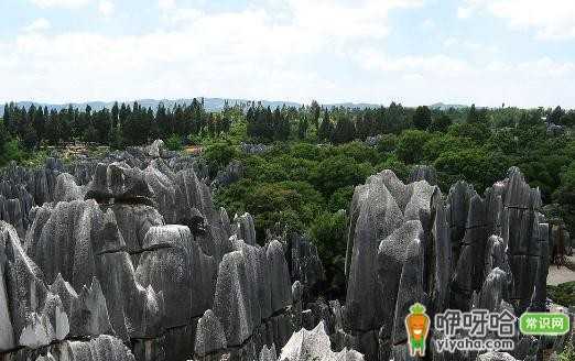 大自然鬼斧神工!不可错过的“石林”奇观