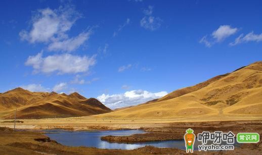 甘南草原:让心与身体一同踏上“行走”之旅