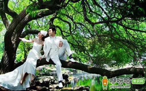 春节旅游地推荐!春节去哪里最好?这些地方别错过