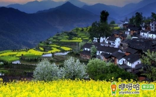 婺源归来不看村!与春天约会,解锁绝美古村春景