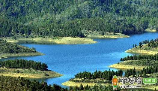 僾尼人山寨:与自然完美协调的居住典范