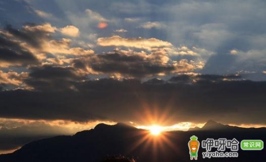 赏樱花必去!途径神秘谷步道,打卡阿里山绝美春日盛景