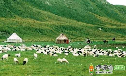 没去过圣彼得堡,别说你真正到过俄罗斯!圣彼得堡旅游必看