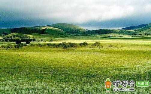 必去!京西空中草原,让你不知今夕何夕