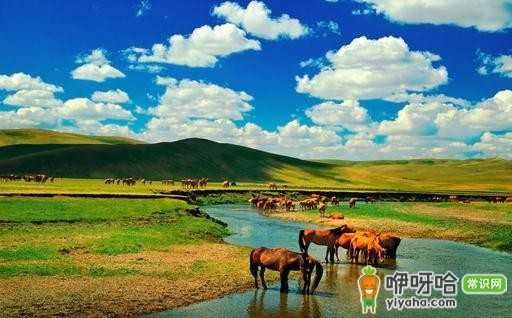 冬季必去!呼伦贝尔旅游攻略来袭,开启冰雪梦幻之旅