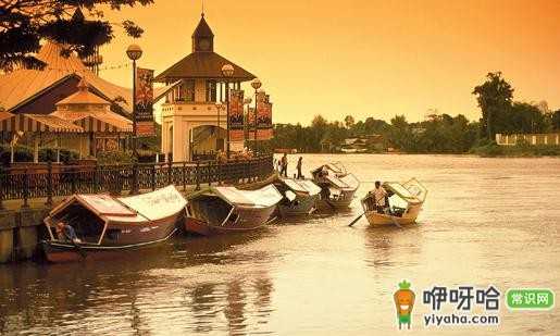 世上唯一崇拜猫的城市,竟然是马来西亚的古晋!