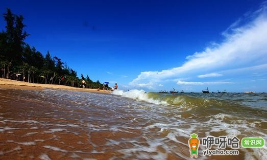 海豚故乡与天堂——三娘湾,邂逅可爱海豚的绝佳之地