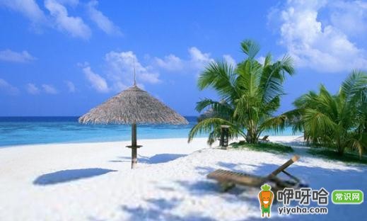 30字以内不一定可以涵盖重要信息,为你输出不同字数的标题供你选择:
1. 自驾必看!一起去海南探秘海底村庄
2. 绝佳自驾体验!与我同游海南神秘海底村庄