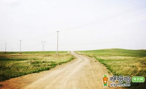 来内蒙古自驾游,与草原赴一场约会!