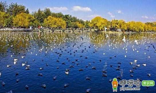 春游首选!云南昆明,这座宝藏旅游地别错过