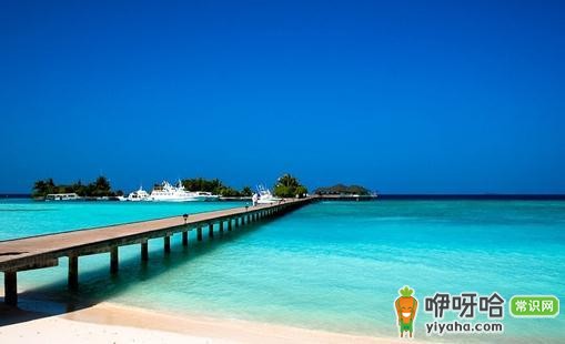 学会这几招!外出旅游轻松省钱的实用技巧