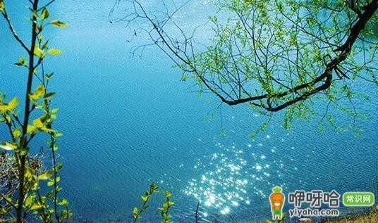 丹巴美人谷春天故事,解锁藏寨绝美春日盛景!