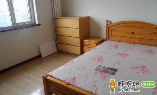 北海公租房申请指南及管理办法全解析,助你轻松搞定申请!