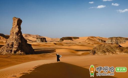 非洲旅游必知!这 8 个注意事项助你畅享旅途