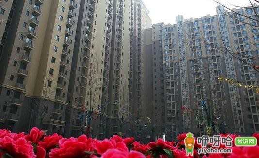 咸阳公租房买卖政策及管理办法全解析