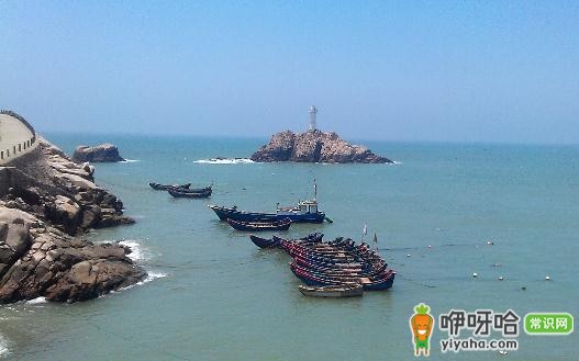 一起体验东极岛乐趣!这些玩法你不能错过