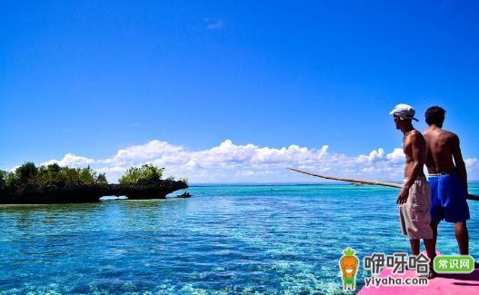 掌握这些方法,让你轻松买到特价机票!