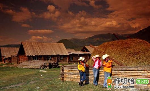 自助旅游必吃的几种健康食物,让你旅途活力满满!