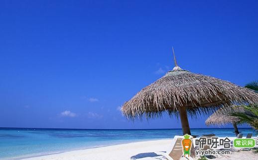 旅游时保护自己的N个实用方法,让旅途更安全!